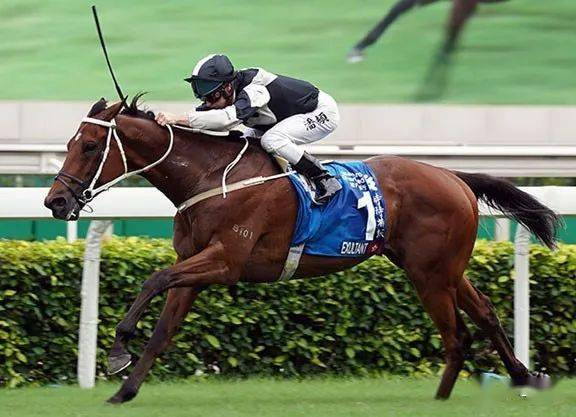 在香港赛马会冠军人马奖中荣膺2019/20 年度马季 香港马王(horse of