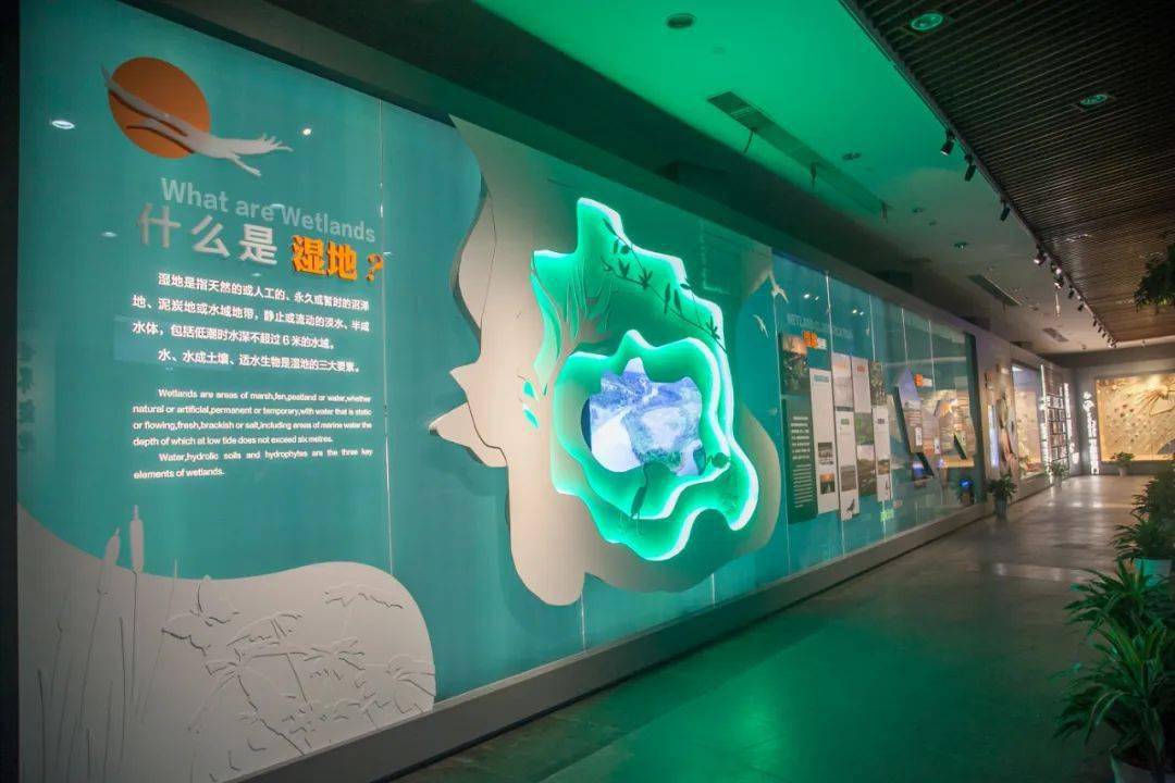 基地动态|中国湿地博物馆序厅升级啦!这些"宝贝"等你来看