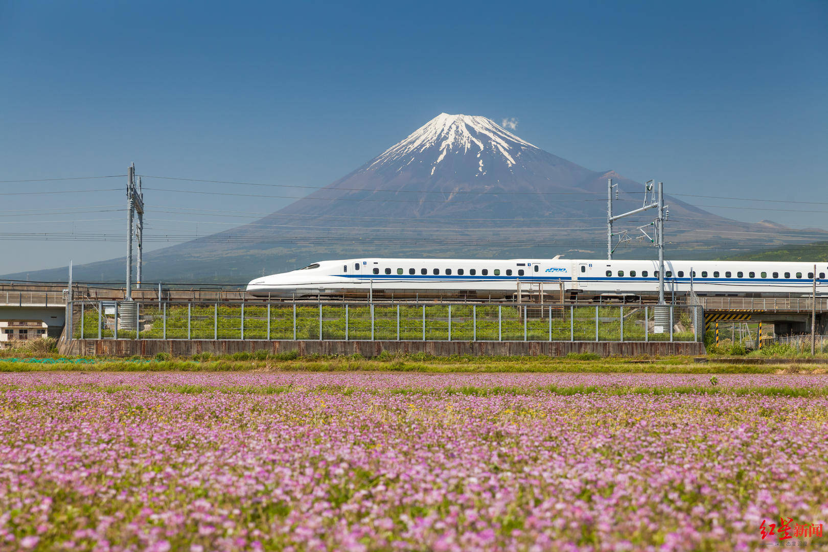 日本新干线当然,在她看来,火车环线游的打造,最核心的还在于产品的