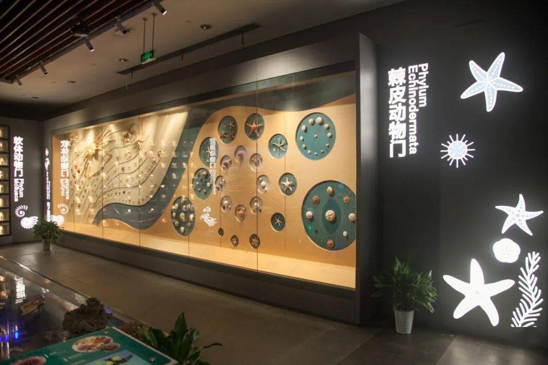 基地动态|中国湿地博物馆序厅升级啦!这些"宝贝"等你来看
