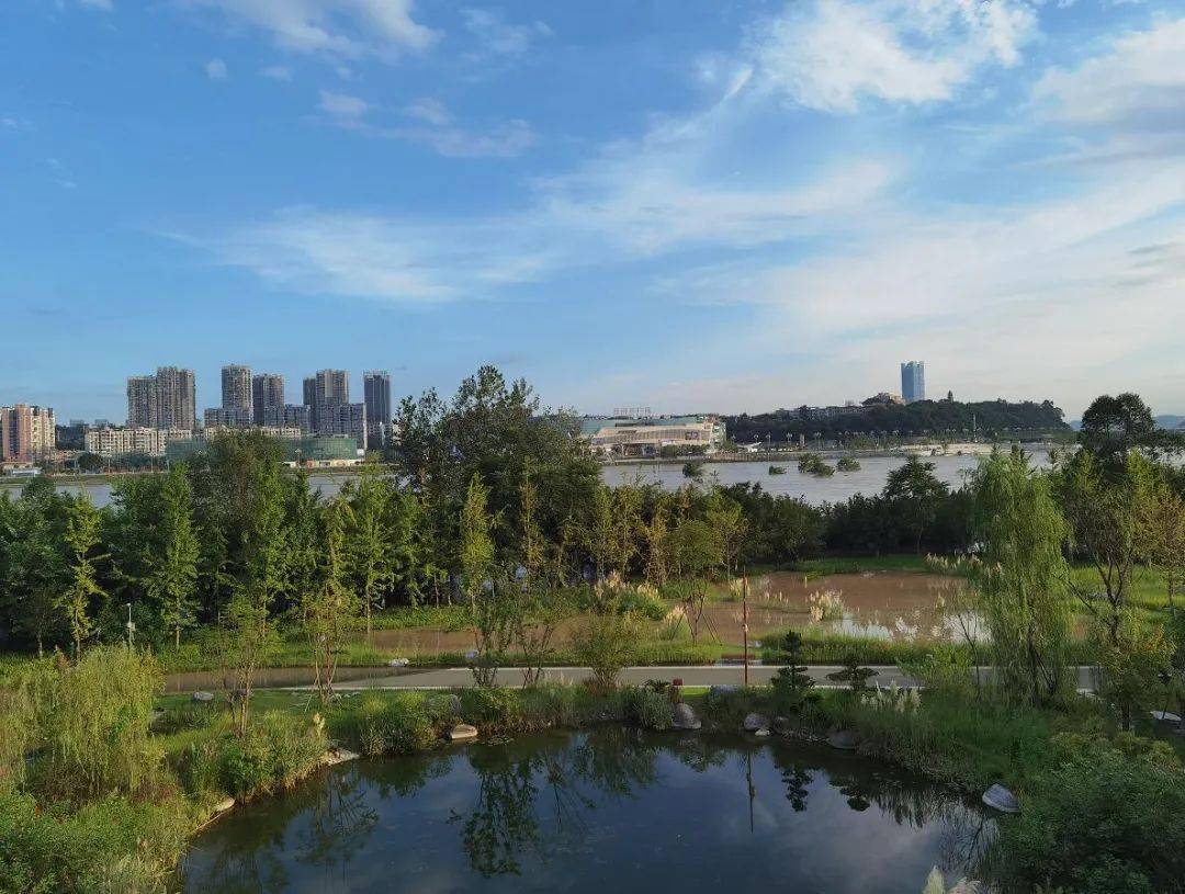 實拍南充嘉陵江洪峰過境生態公園老橋龍王廟它們正在經受洪水洗禮