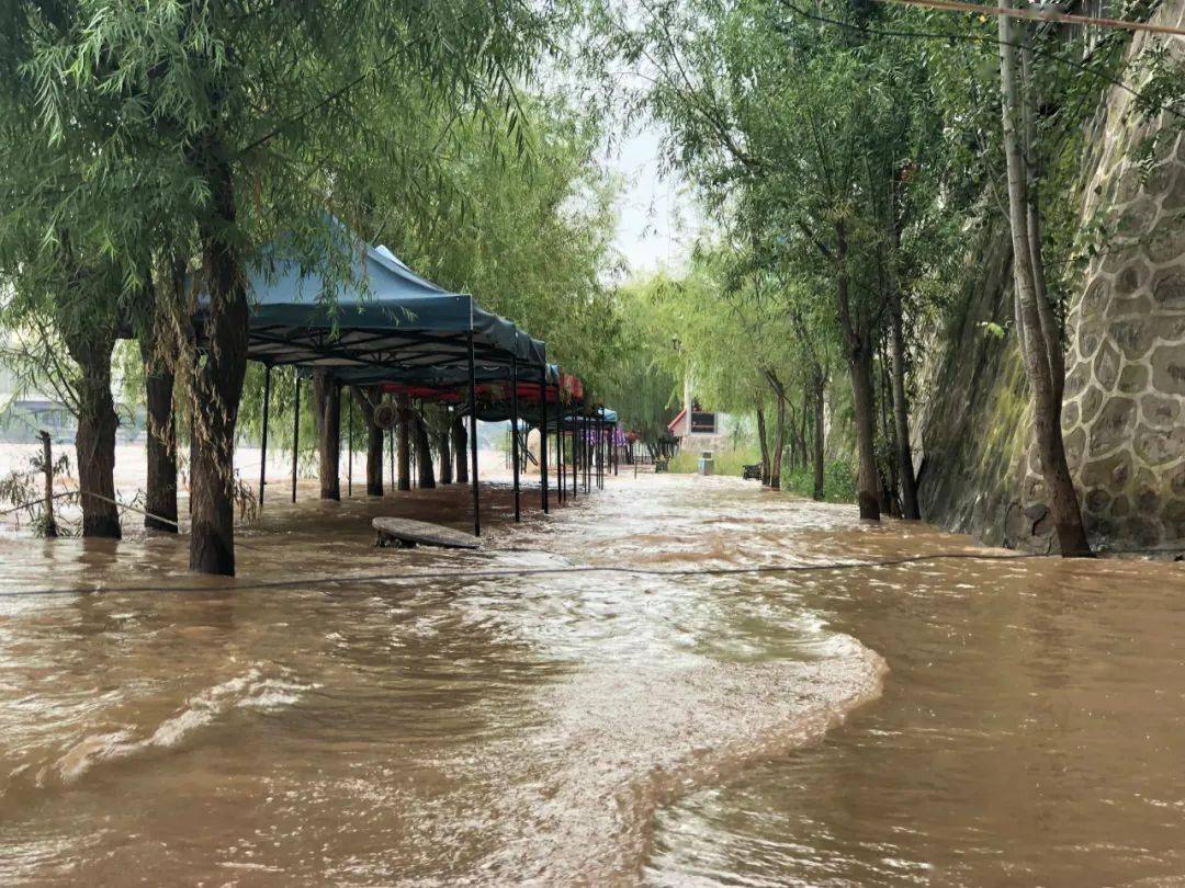 水車園,馬拉松公園,龍源公園,音樂噴泉,近水廣場,馬灘溼地公園,水車