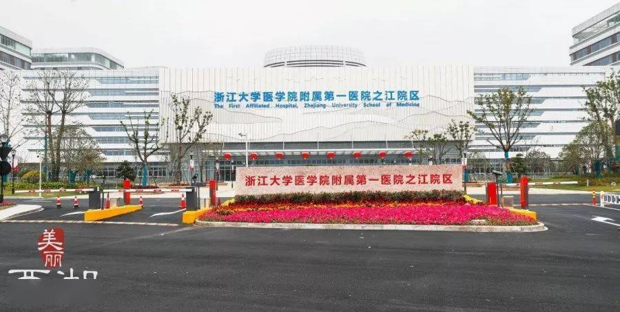 大型义诊活动开展"手拉手·医起走"西湖区卫健局联合浙一医院为庆祝