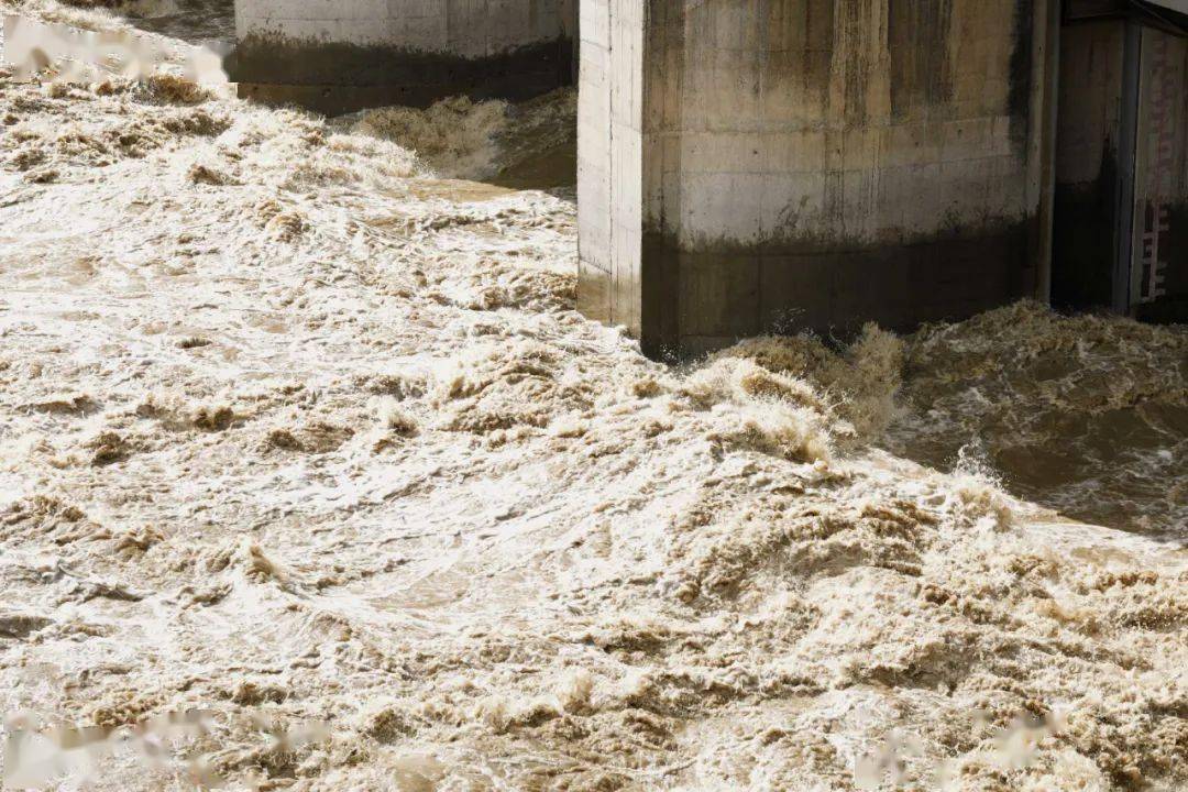 入汛以来最大洪峰顺利过境南充主城区大水真冲了龙王庙