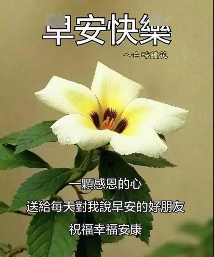 清晨精美的早上好問候祝福圖片 2020新早上好問候表情祝福圖片_親愛的