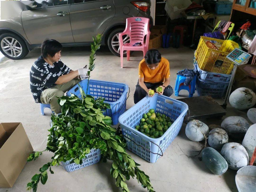 致富团队是真是假(致富联盟是什么公司)