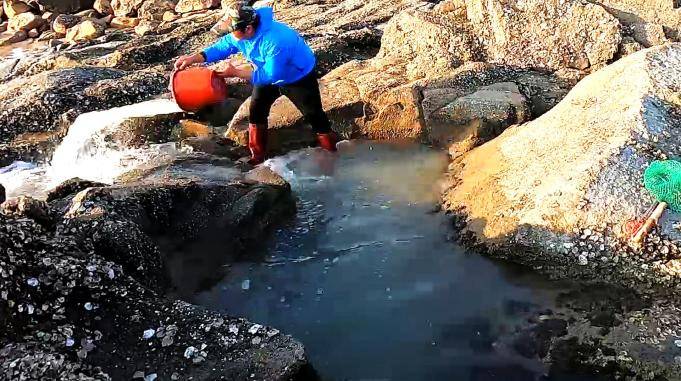 吴哥赶海寻找海货遇到水坑里窜动舀干后坑底海鲜抓得乐开花了