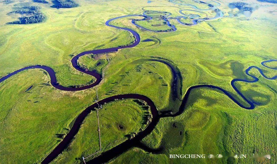 这个夏天行走在丰美的三江平原大湿地
