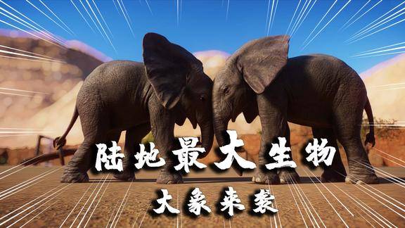 动物园之星08陆地最大动物大象强势来袭可以坐火车观看