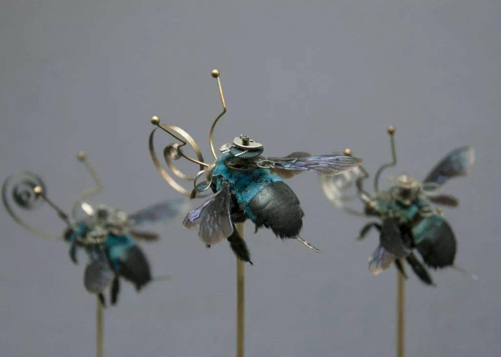 机械昆虫艺术家 Mike Libby-搜狐大视野-搜狐新闻