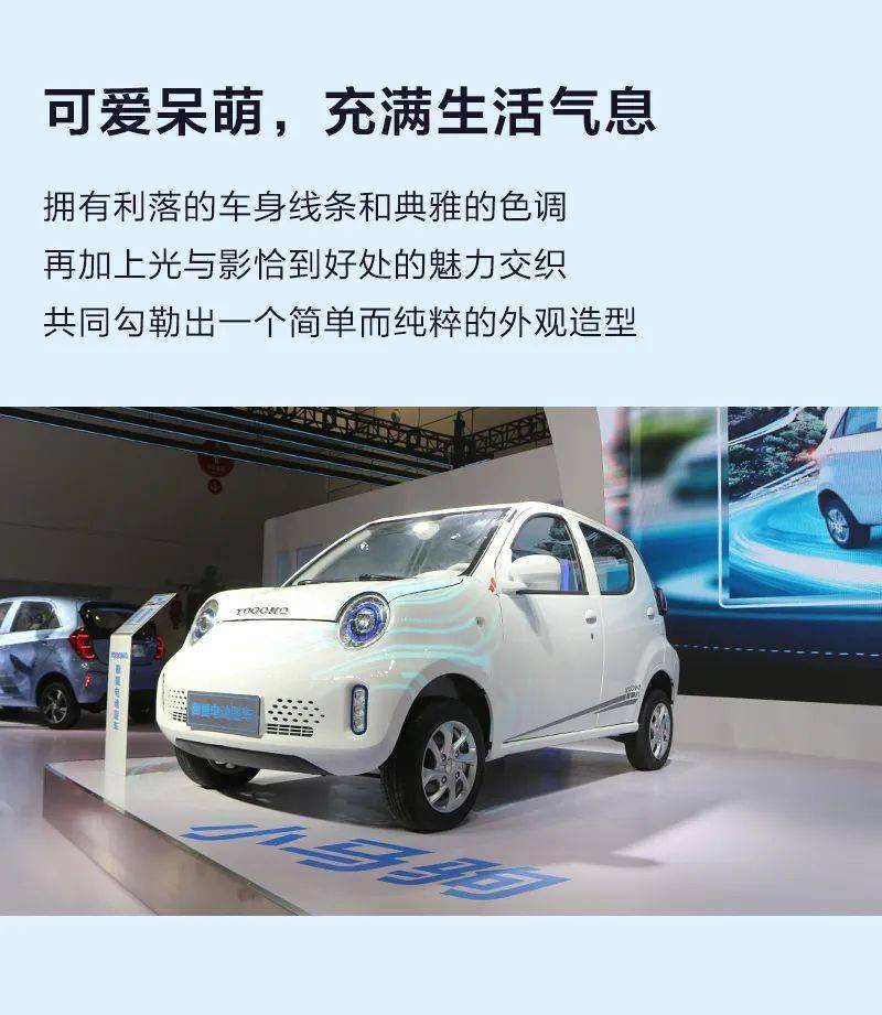 最聚人气车型小马驹获得高度关注和评价