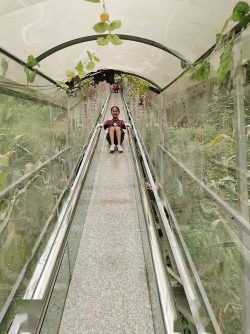 不夜道真61幺不倒台|游中国傩城 赏仡山欢歌 我在傩城等您来体验