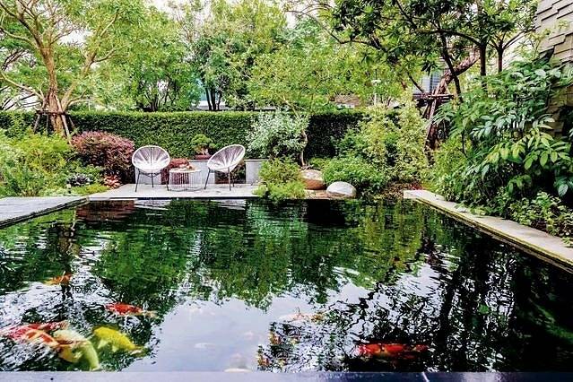 庭院小鱼池石磨水景叠流完美结合鱼池过滤器水清鱼跃