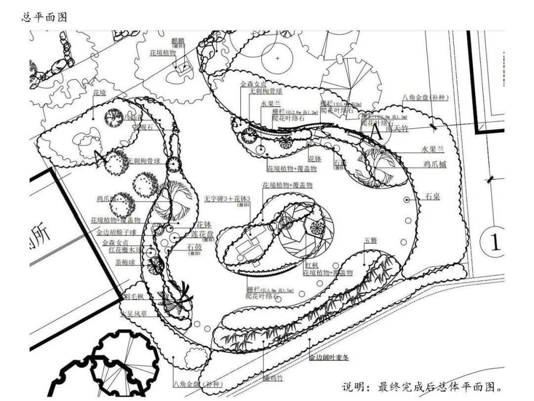 蓬莱公园夹竹桃专区改造完工一起来看看吧