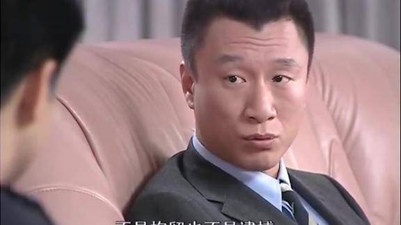 浮华背后高锦林不愧是大佬面对警察审问滴水不漏竟还敢反怼