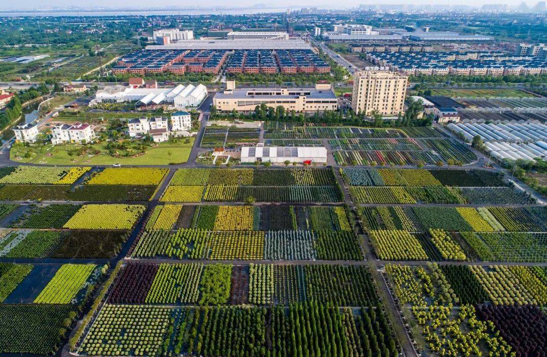20年相伴,看虹越如何出现,如何成长_海宁市