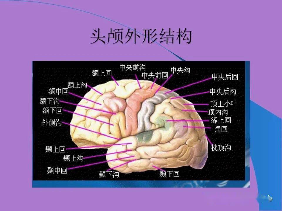 新生儿缺氧缺血性脑病的mri诊断