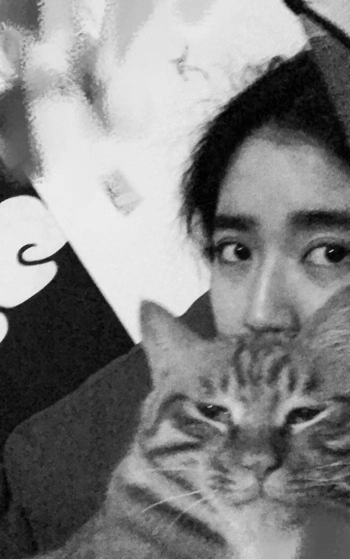 离线张天语参与了某个重要时代