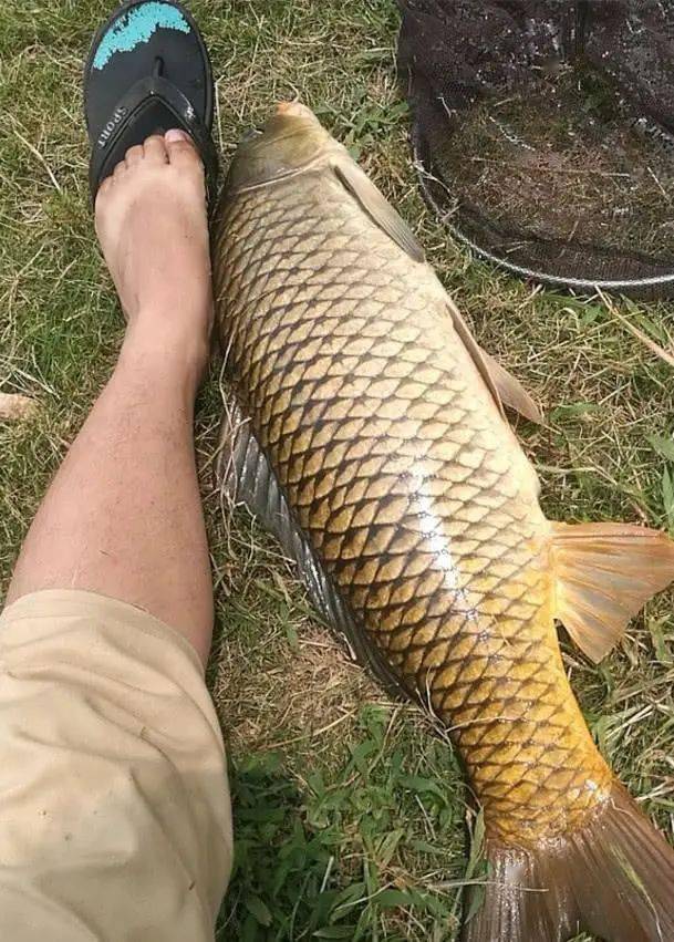 为啥你很少钓到大鱼仔细想想你可能从没注意过这4个细节