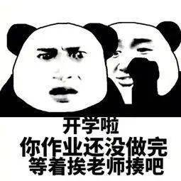 终于不用整天为他们的作业着急上火也不用再为他们的安全担惊受怕表面