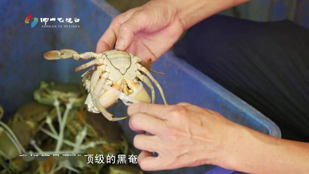 渔船上纯天然的鲜味，感受虾蝲膏那份大海狂野的风味-搜狐大视野-搜狐新闻