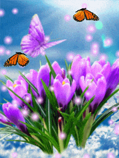 动态蝴蝶小人图片