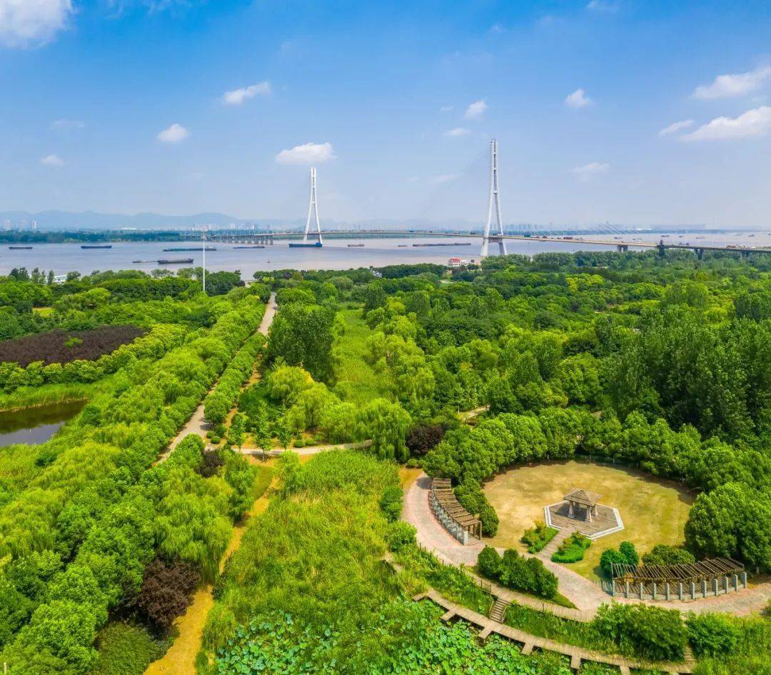 三江营生态湿地公园图片