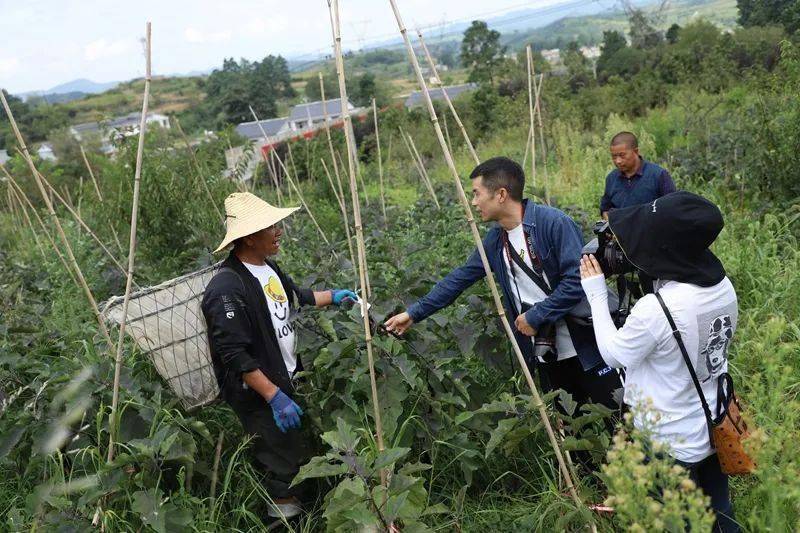 久长街道兴隆村产业兴隆强村富民