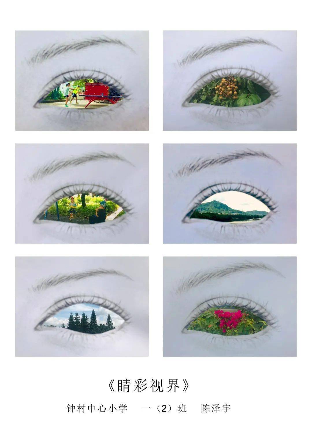 广东省中小学生爱眼护眼评选结果出炉!