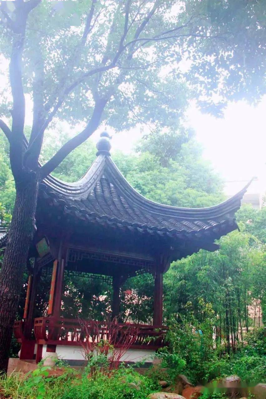 大气一呼百应大爱一往情深建功中学优秀教师展示①