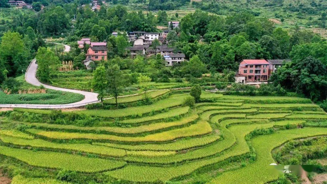 脱贫黄金镇云丰村丰衣足食