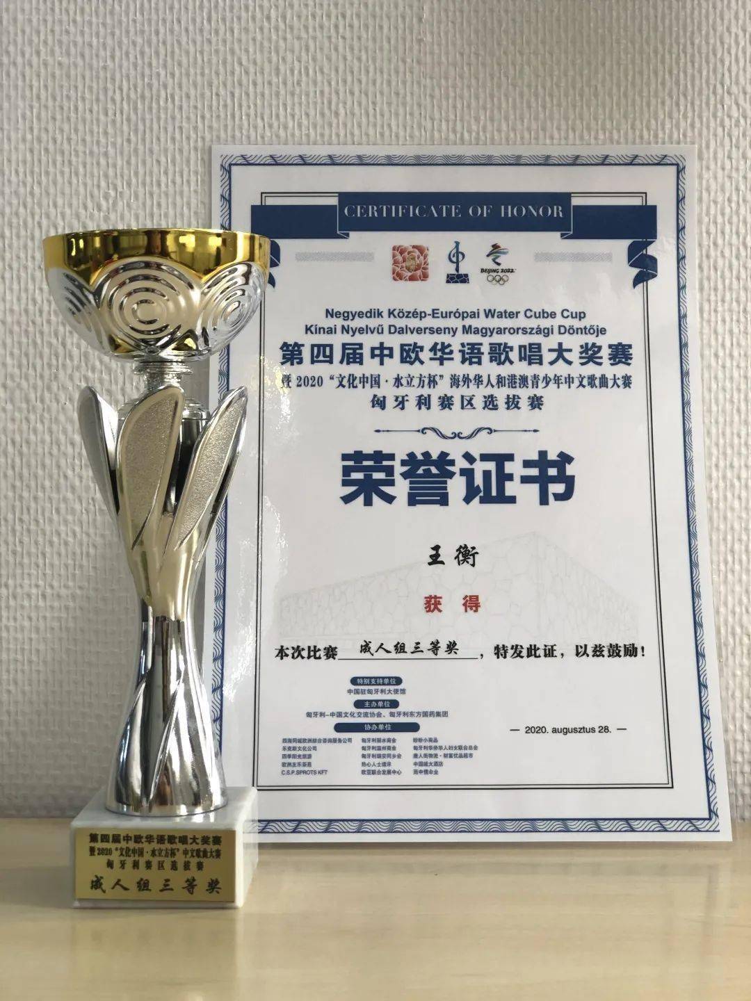 王衡老师荣获的奖杯与荣誉证书中国驻匈牙利大使馆领事侨务处主任李克