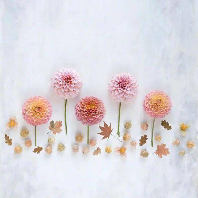 简单干净致自己的句子精致唯美触动心灵