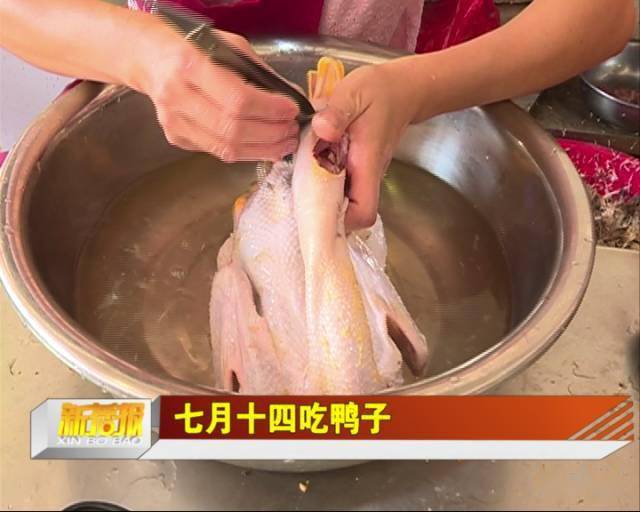 今天你吃鸭子了吗