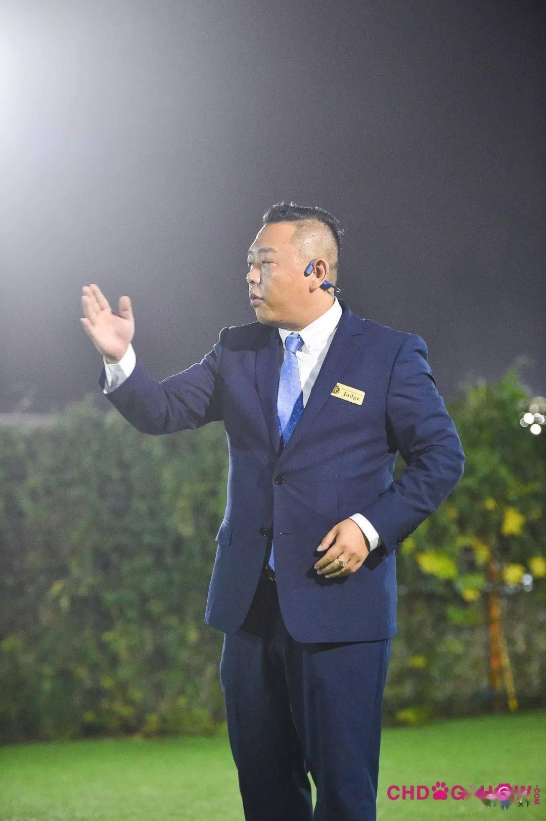 咨询了解指导手:陈日胜犬主:陈日胜月之光号4,柴犬指导手:穆洪马犬主