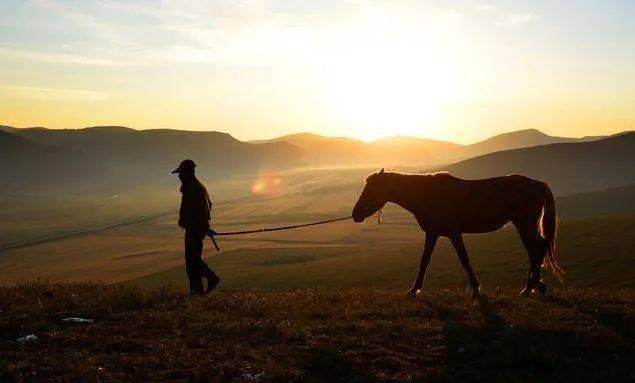 01-不要追一匹马,你用追马的时间去种草,待春暖