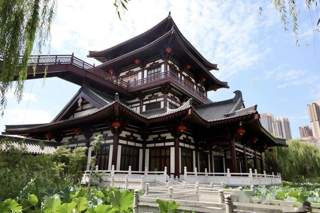 【全景旅发】洛阳旅游发展集团上阳宫文化园9月1日正式复业