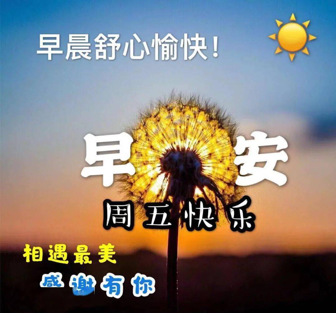 漂亮的週五早上好表情包輕輕的問候滿滿的祝福