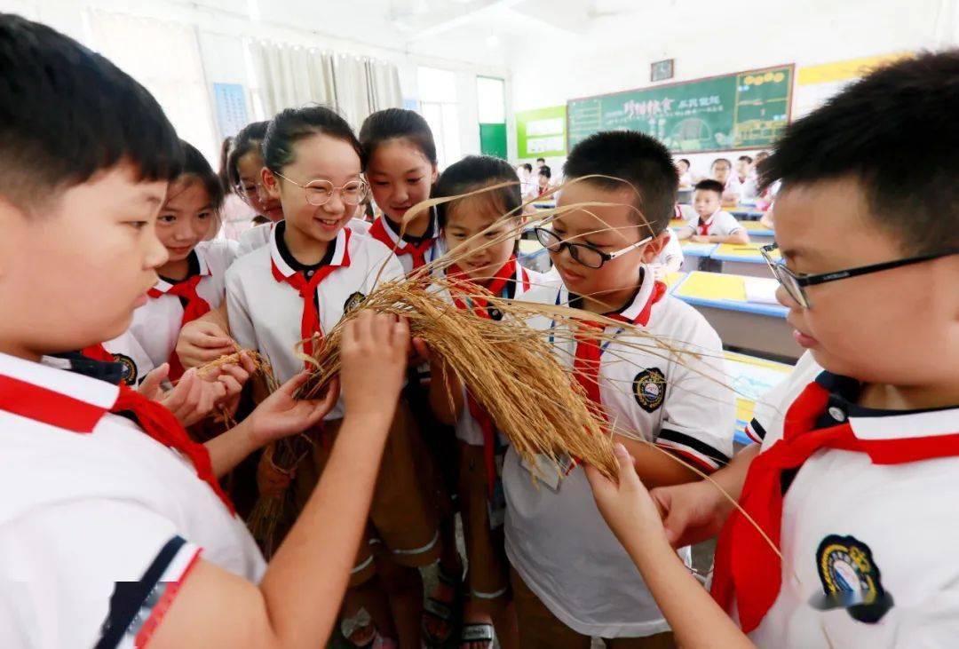 新学年开学之际 万年二小开展节粮进课堂活动