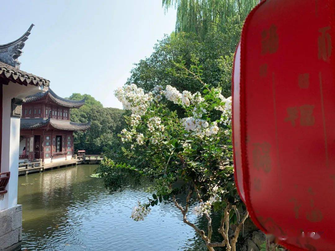 秋赏晓秋迎露一支新不占园中最上春