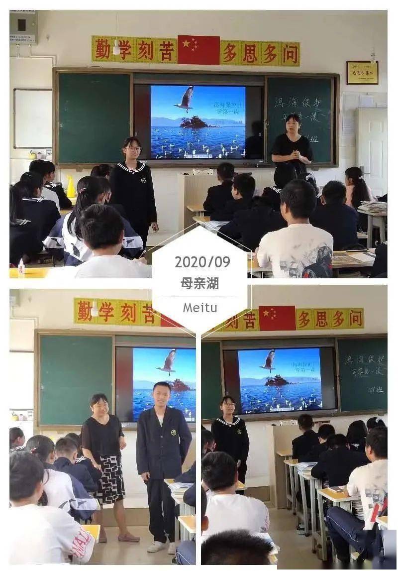 完小阳和庄完小大理四中三文笔完小上末完小大理二小才村完小阳和完小