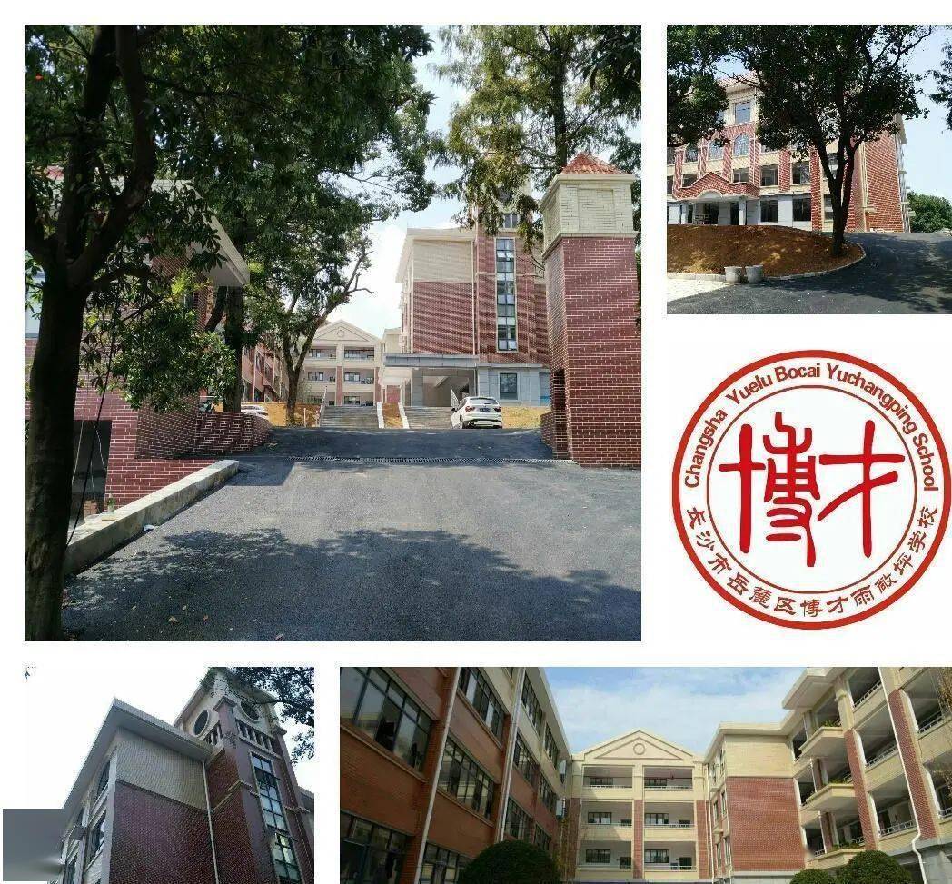 菠菜日志从新开始岳麓区博才雨敞坪学校迎来新学期