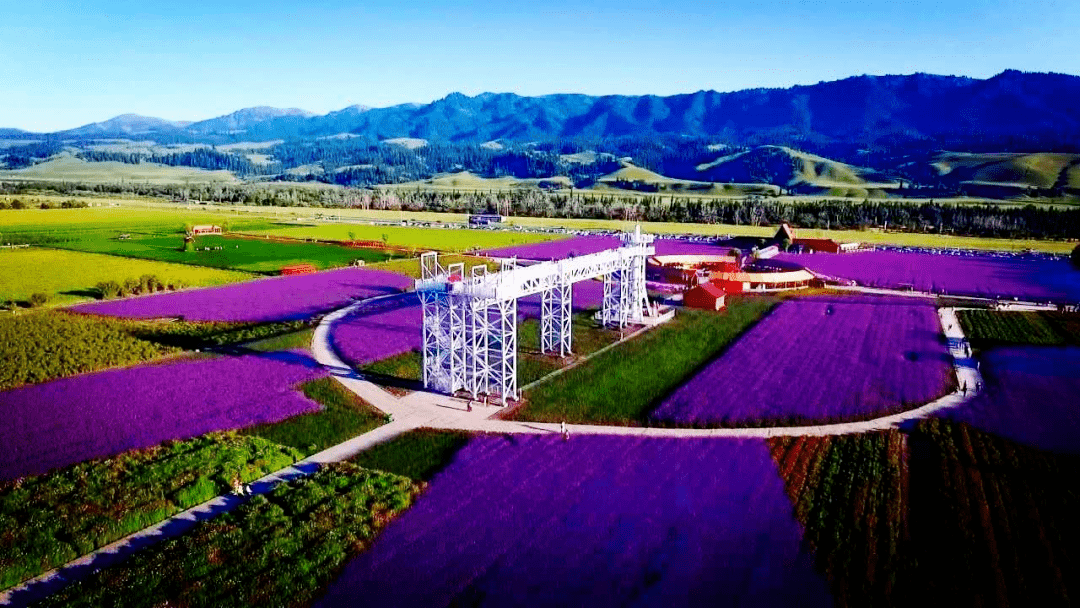 伊犁州直景区全面恢复开放