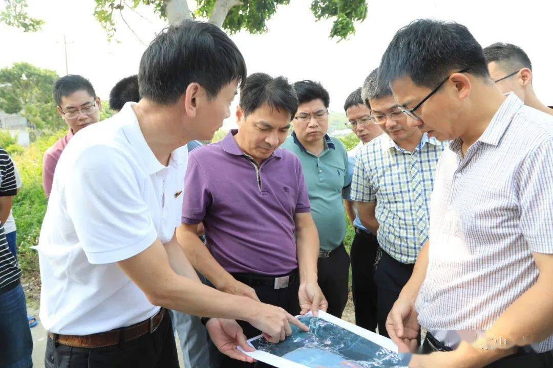 鱼骨沙洲要这么建县委书记带队调研