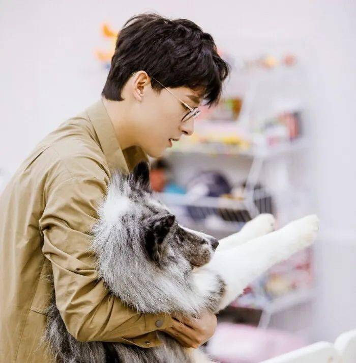 微信头像张雨剑