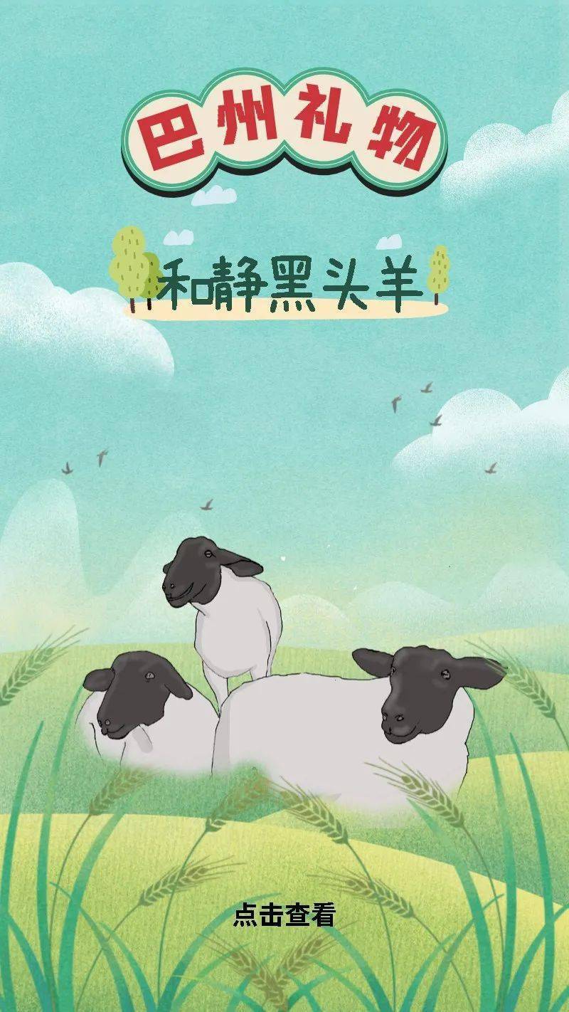 魅力巴州,馋味来袭