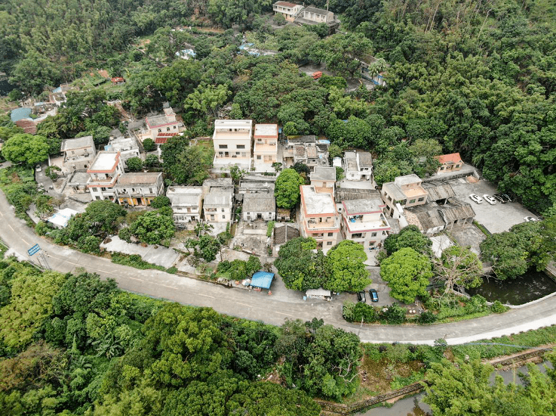 五桂山南桥村抗战革命老区