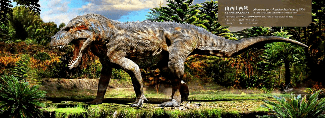 【山西鳄复原图】【达坂吐鲁番鳄 中三叠世新疆吐鲁番 完整骨骼】用