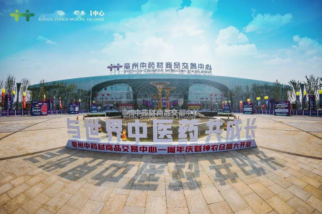 谯城区艺术培训：让孩子们的艺术梦想绽放