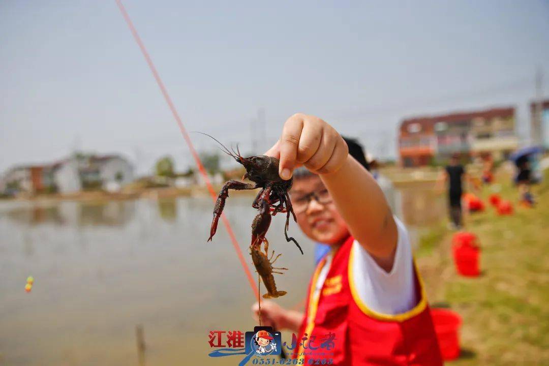 招募品虾钓虾观虾龙虾节里尽享美丽乡村风光